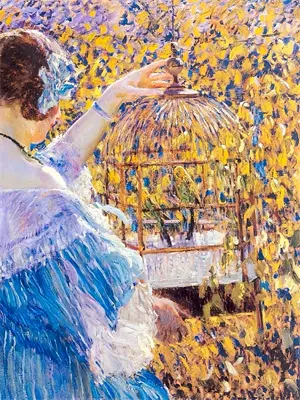 安国建 狂怒骑士