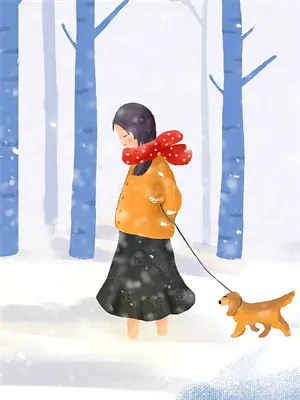 校花小说改编