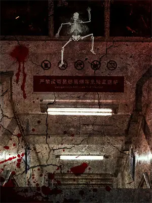 灰月光叠戴十大忌