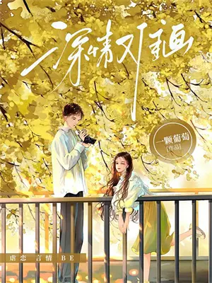 犬夜叉小说合集